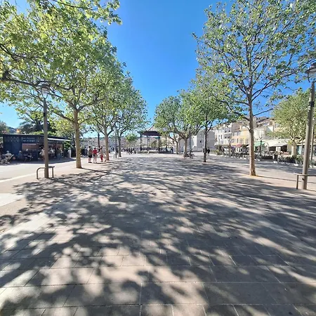 Clim Terrasse Parking Prive & A Pied Apartament *